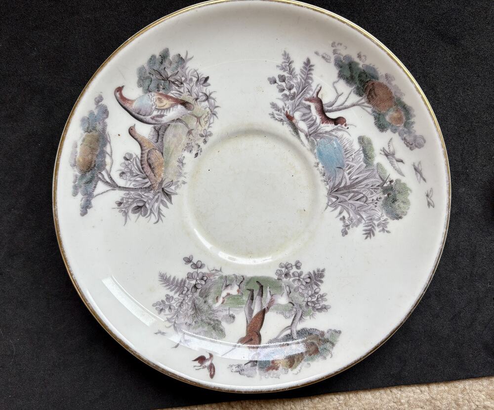 Vintage Royal Worcester To A Very Important Person Game Shooting Saucer 6.5”